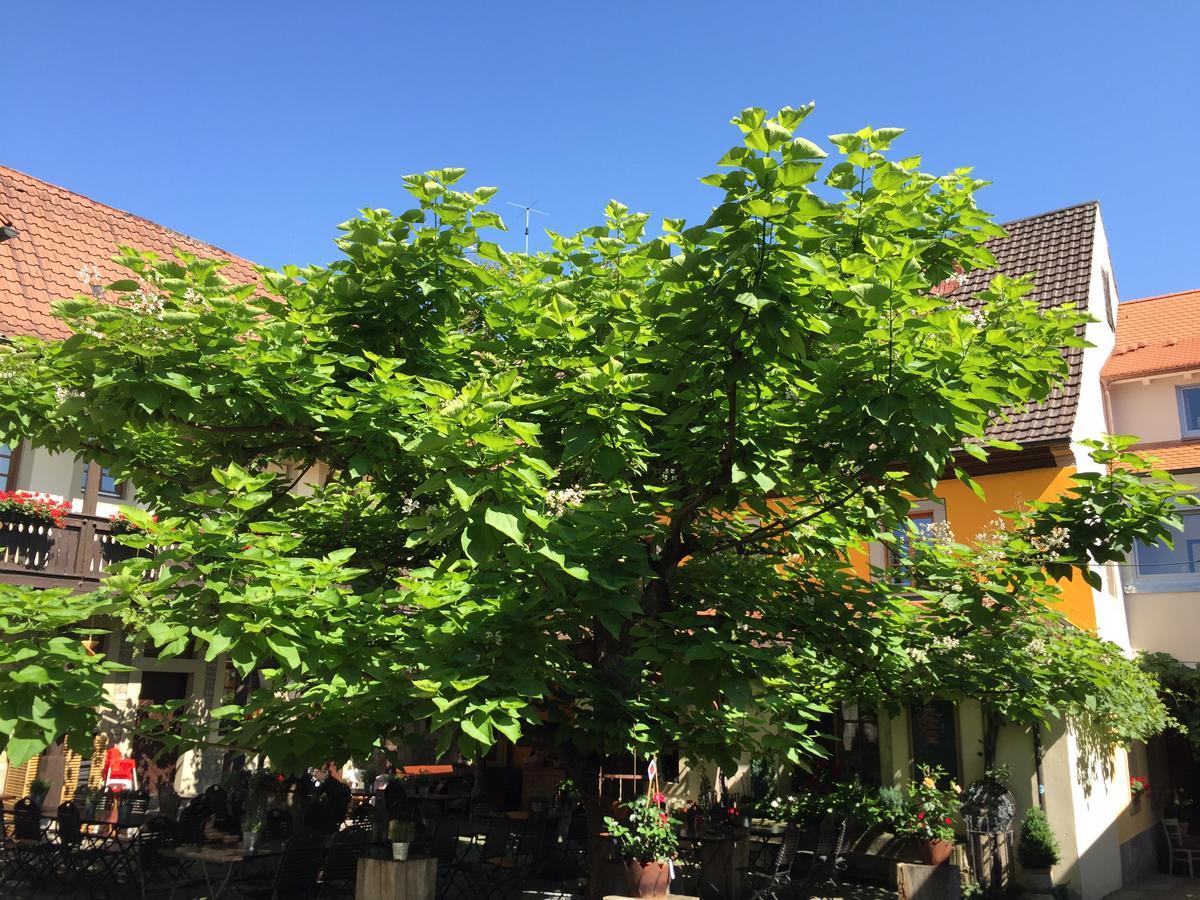 Gasthof Zum Storch Prichsenstadt Ngoại thất bức ảnh
